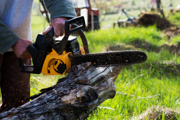 How Our Tree Care Process Works  in  Liberty Corner, NJ